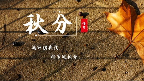 樓上樓門窗 | 白露秋分夜,一夜冷一夜，高端門窗安排上！